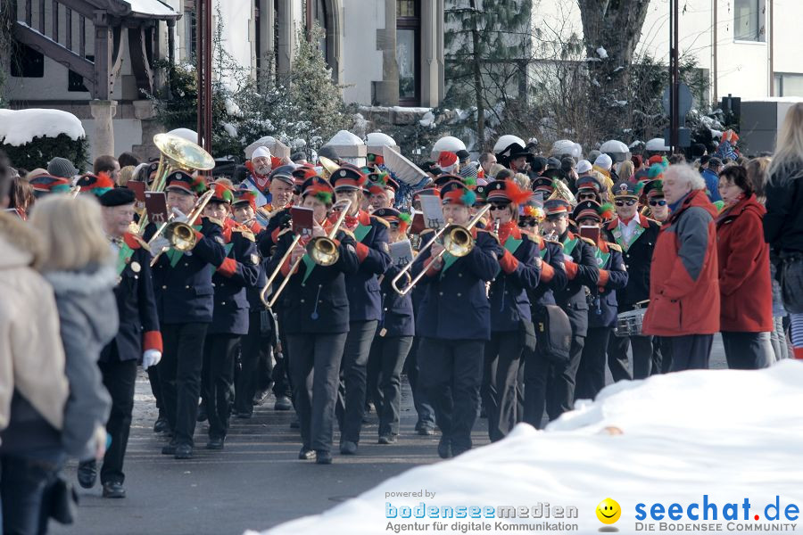 Narrenumzug: Villingen, 16.02.2010