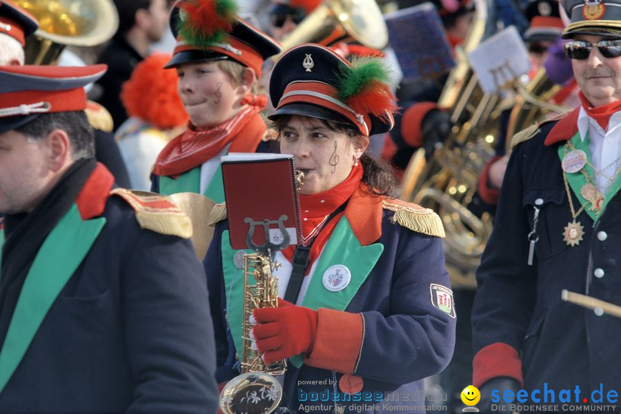 Narrenumzug: Villingen, 16.02.2010