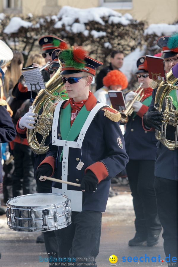 Narrenumzug: Villingen, 16.02.2010