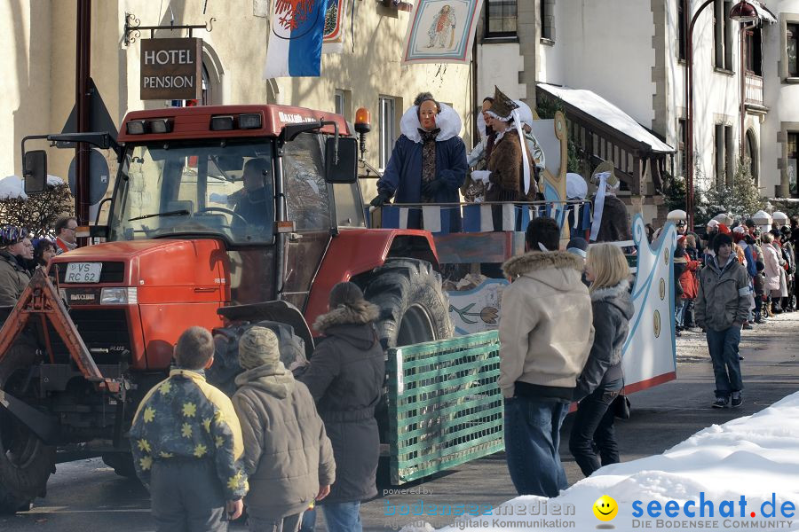 Narrenumzug: Villingen, 16.02.2010