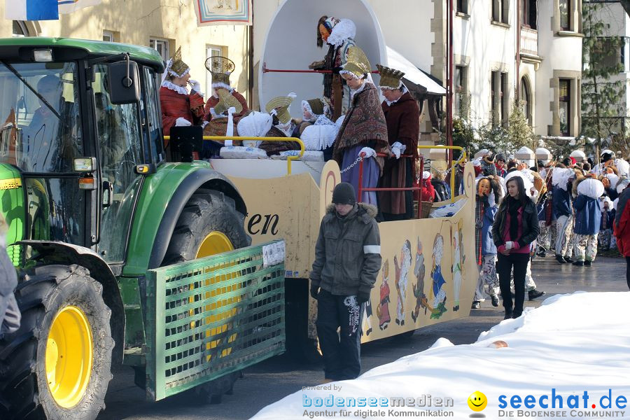 Narrenumzug: Villingen, 16.02.2010