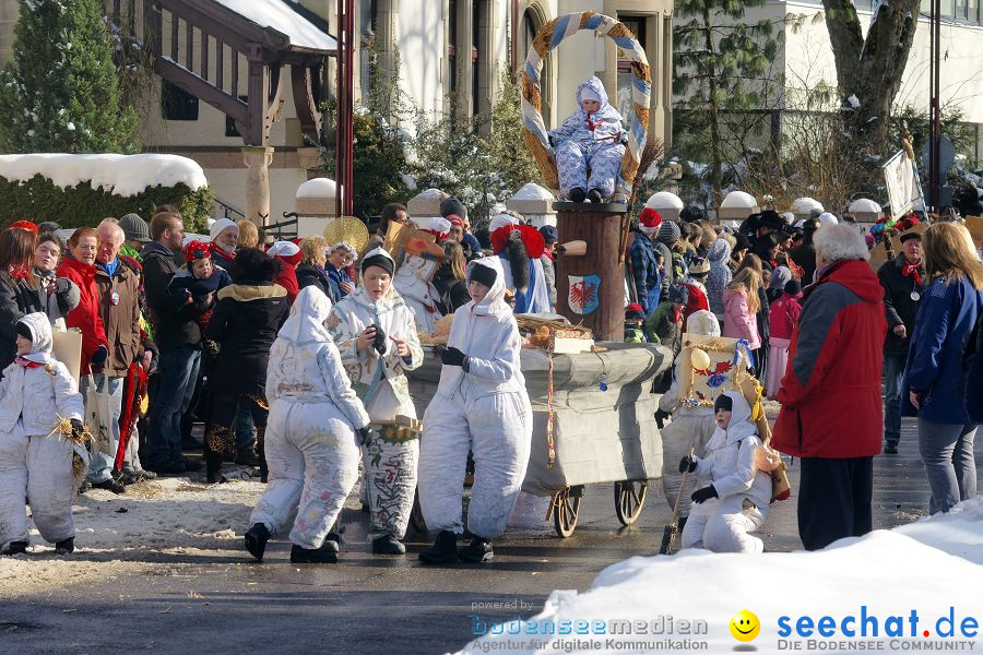 Narrenumzug: Villingen, 16.02.2010