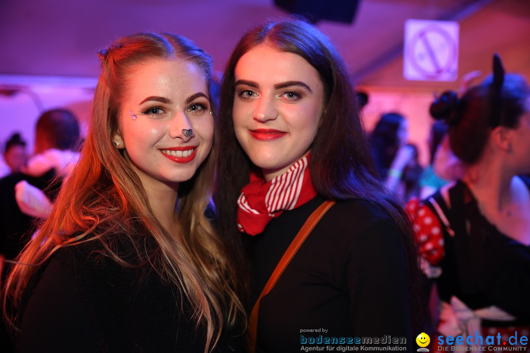 STIERBALL 2019: Party-Band HEAVEN: Wahlwies am Bodensee, 01.03.2019