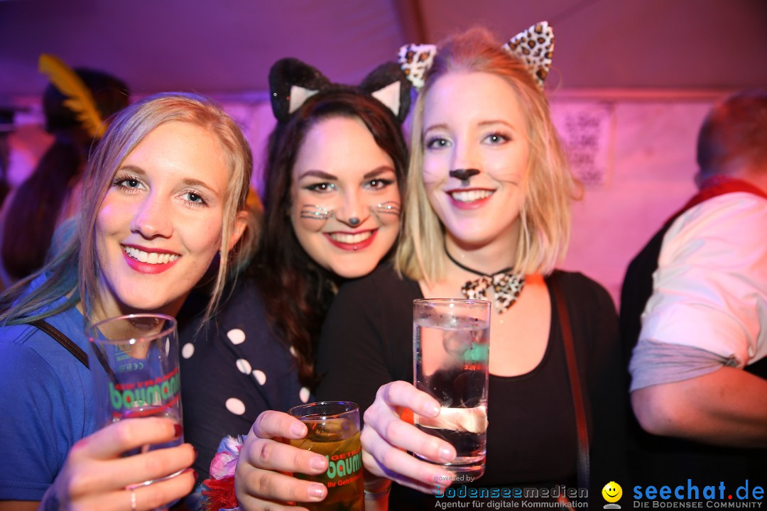 STIERBALL 2019: Party-Band HEAVEN: Wahlwies am Bodensee, 01.03.2019