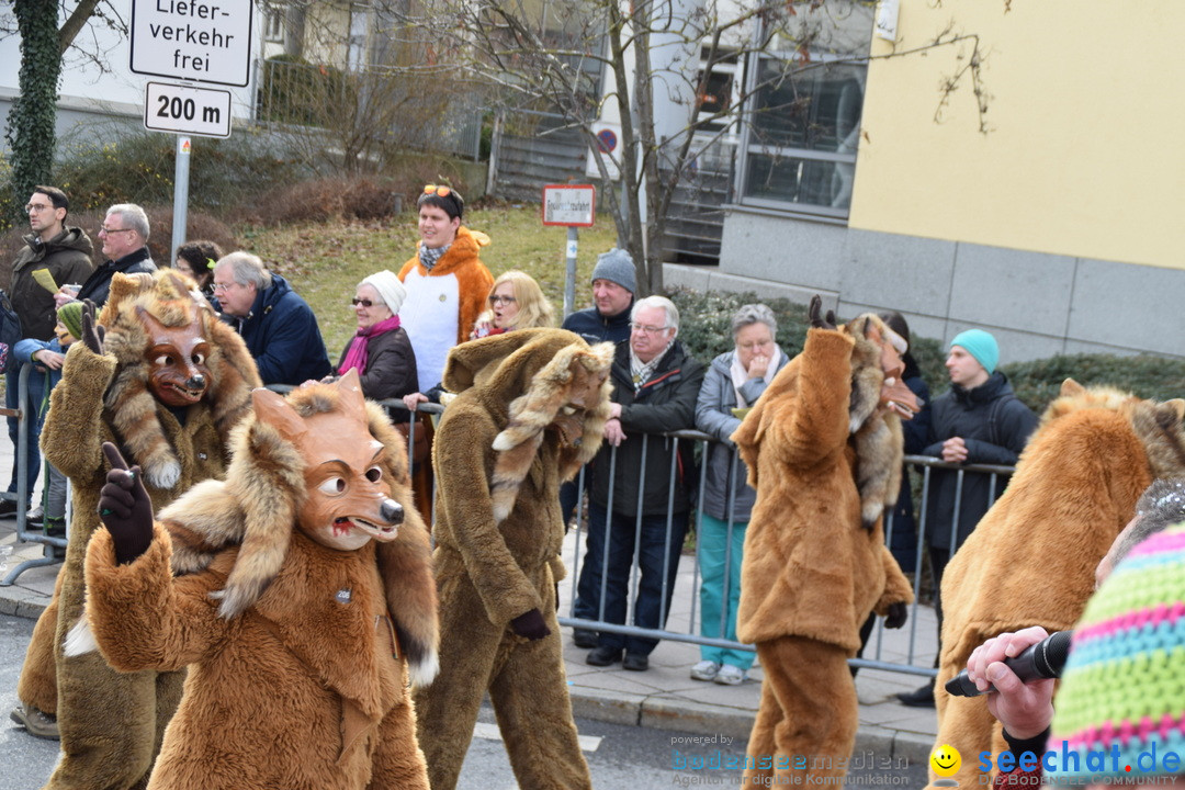 Grosser Narrensprung: Friedrichshafen am Bodensee, 02.03.2019