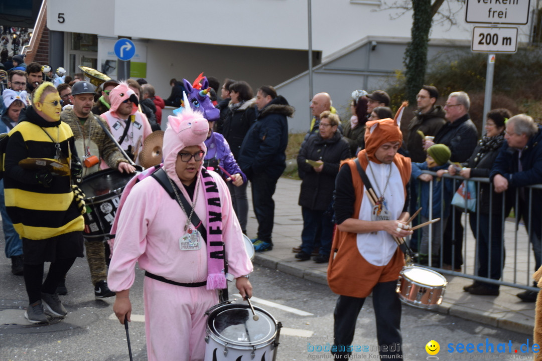 Grosser Narrensprung: Friedrichshafen am Bodensee, 02.03.2019