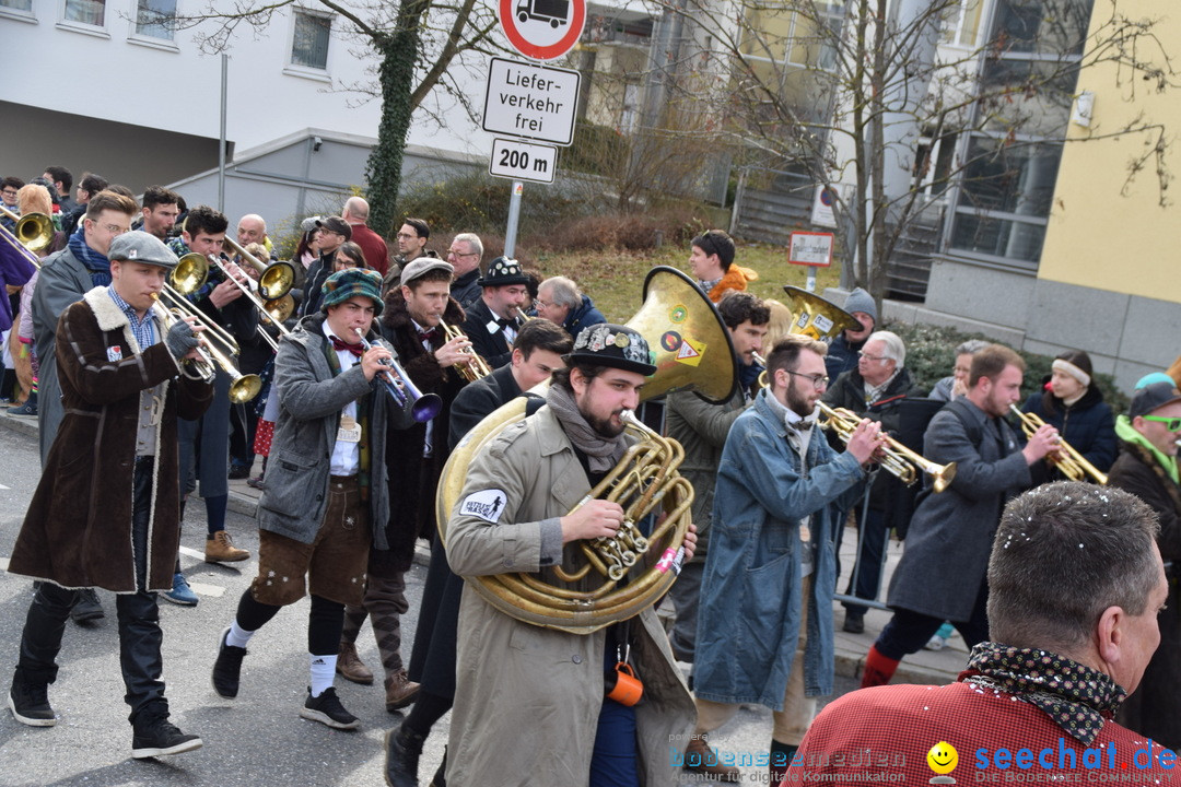 Grosser Narrensprung: Friedrichshafen am Bodensee, 02.03.2019