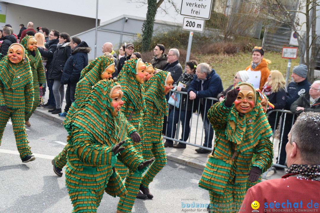 Grosser Narrensprung: Friedrichshafen am Bodensee, 02.03.2019