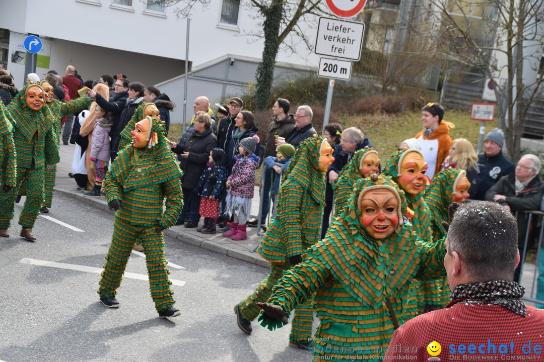 Grosser Narrensprung: Friedrichshafen am Bodensee, 02.03.2019