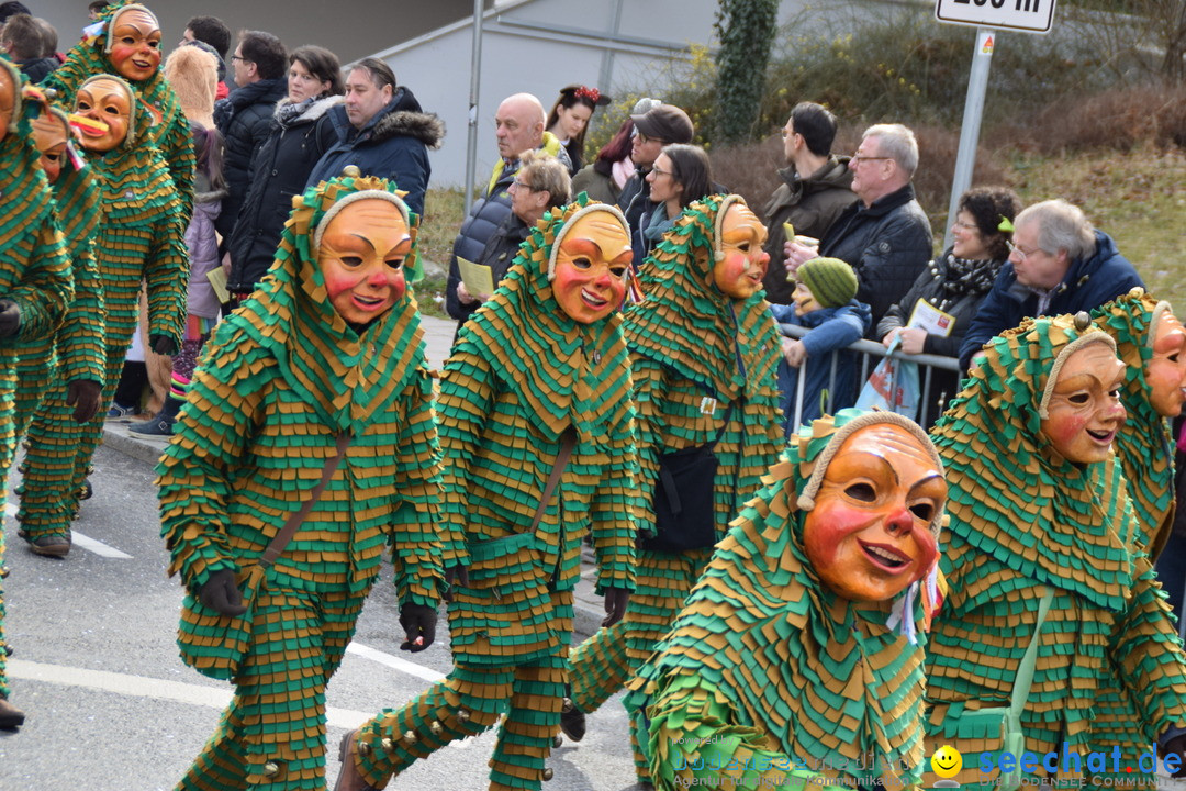 Grosser Narrensprung: Friedrichshafen am Bodensee, 02.03.2019