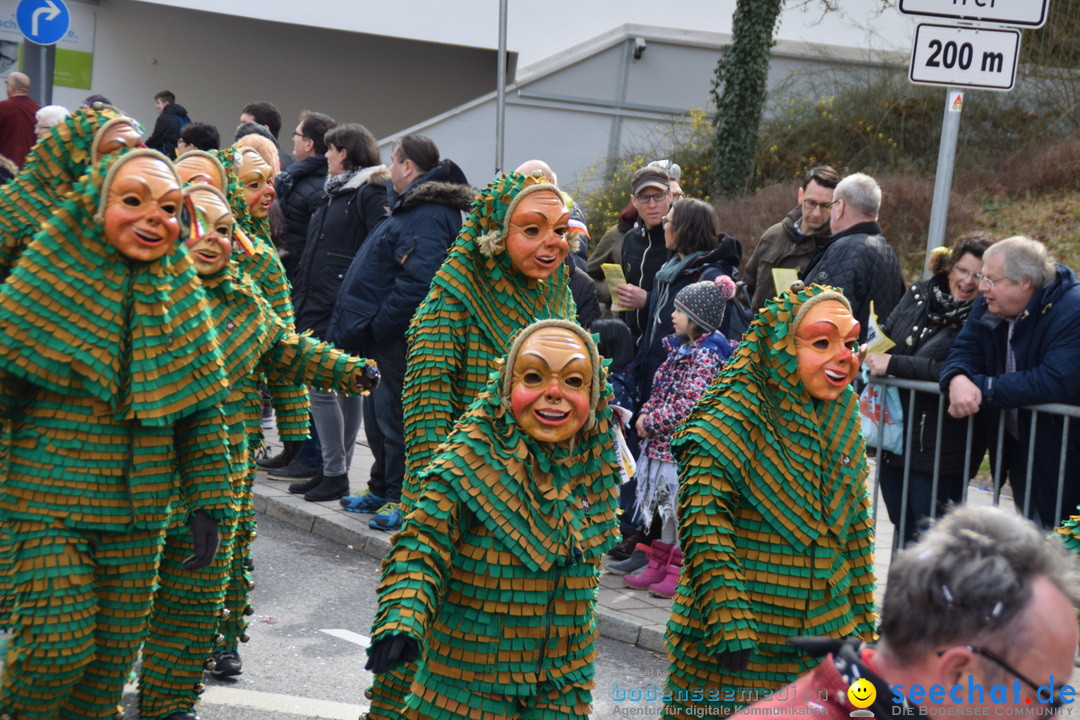 Grosser Narrensprung: Friedrichshafen am Bodensee, 02.03.2019