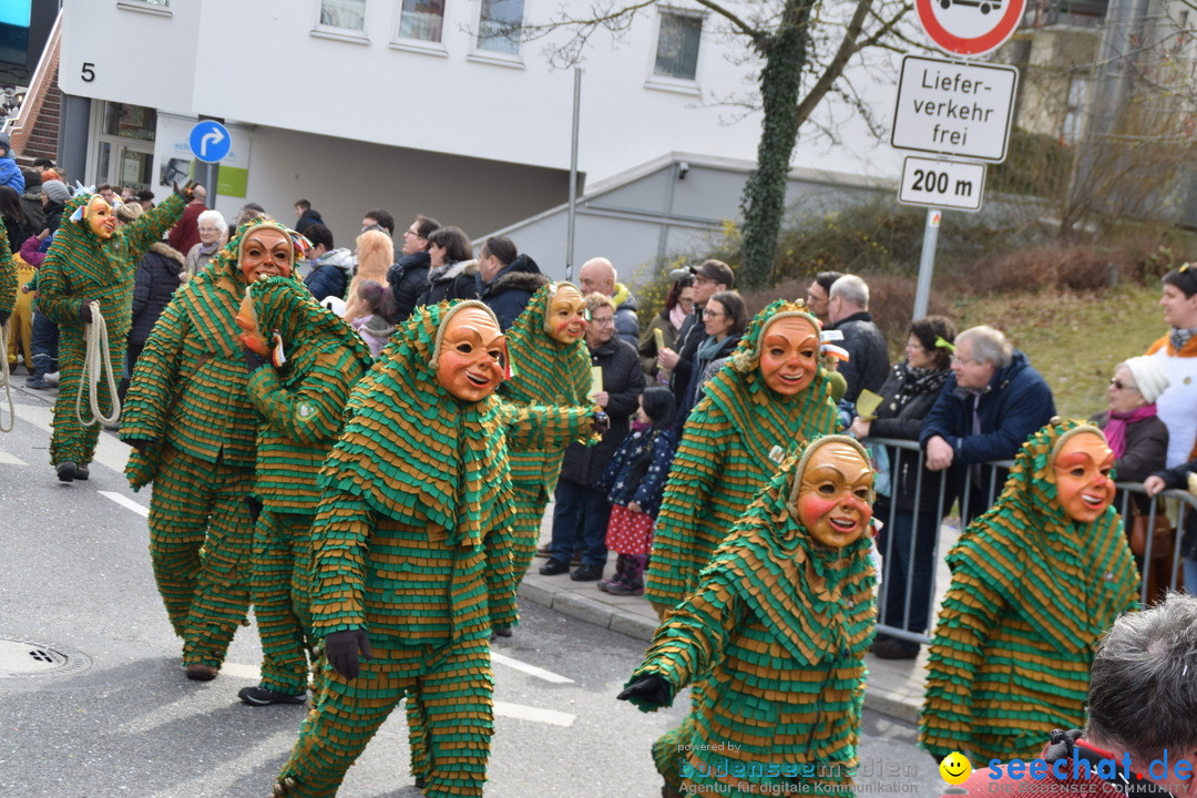 Grosser Narrensprung: Friedrichshafen am Bodensee, 02.03.2019