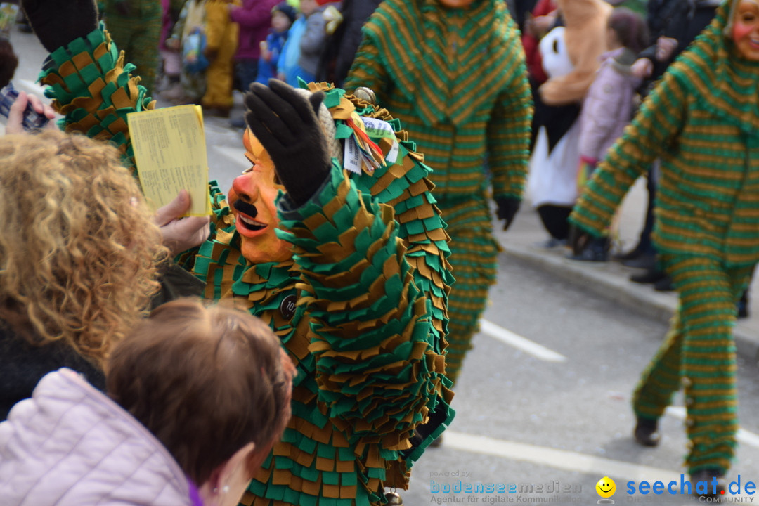 Grosser Narrensprung: Friedrichshafen am Bodensee, 02.03.2019