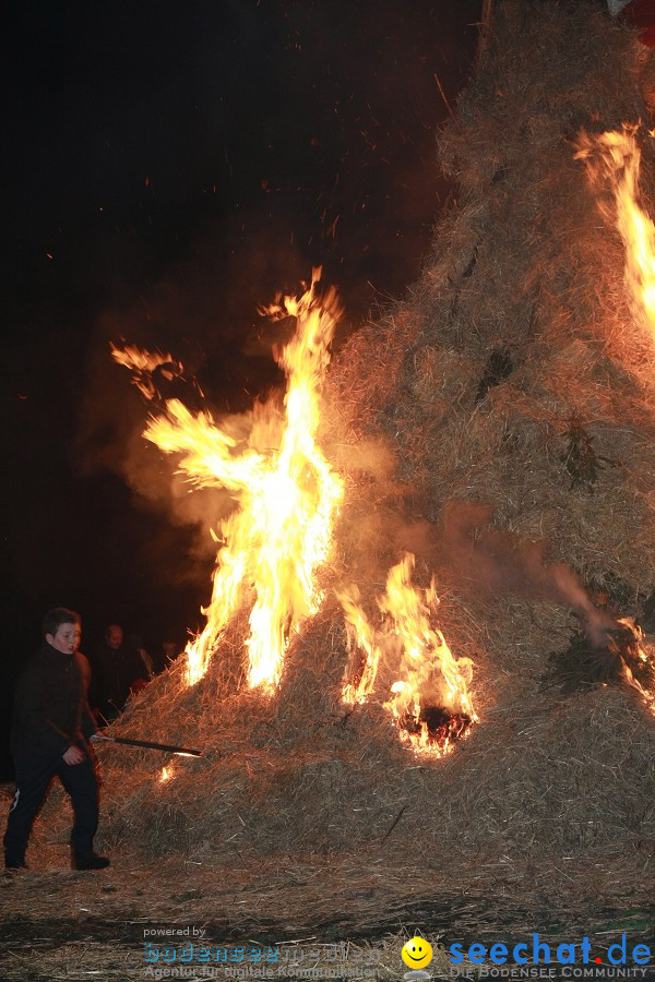 Funkenfeuer 2010: Ursaul bei Stockach am Bodensee, 21.02.2010