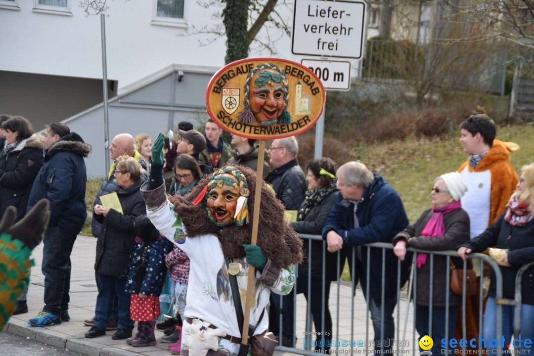 Grosser Narrensprung: Friedrichshafen am Bodensee, 02.03.2019