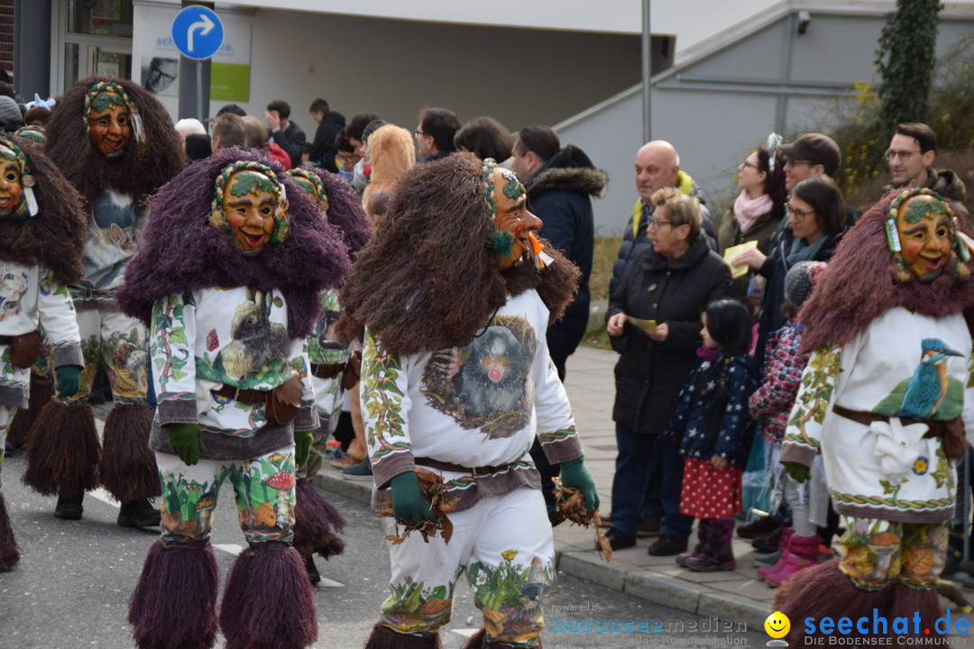 Grosser Narrensprung: Friedrichshafen am Bodensee, 02.03.2019