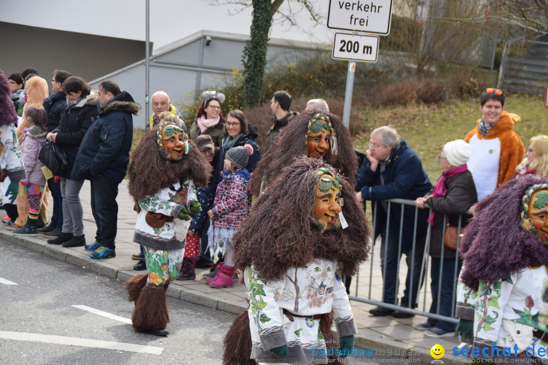 Grosser Narrensprung: Friedrichshafen am Bodensee, 02.03.2019