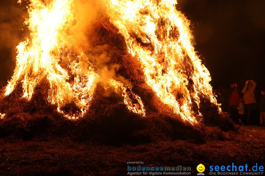 Funkenfeuer 2010: Ursaul bei Stockach am Bodensee, 21.02.2010