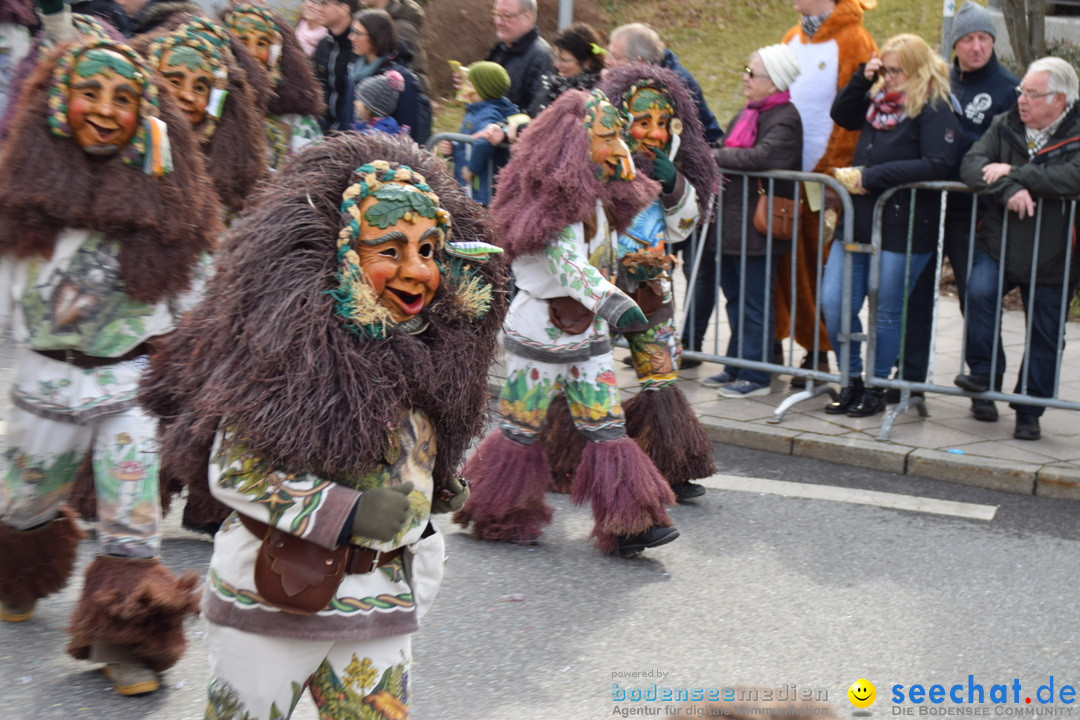 Grosser Narrensprung: Friedrichshafen am Bodensee, 02.03.2019