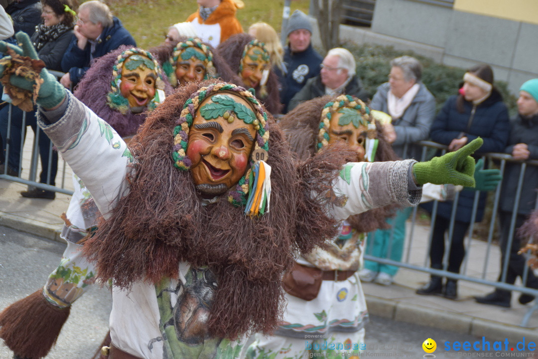 Grosser Narrensprung: Friedrichshafen am Bodensee, 02.03.2019