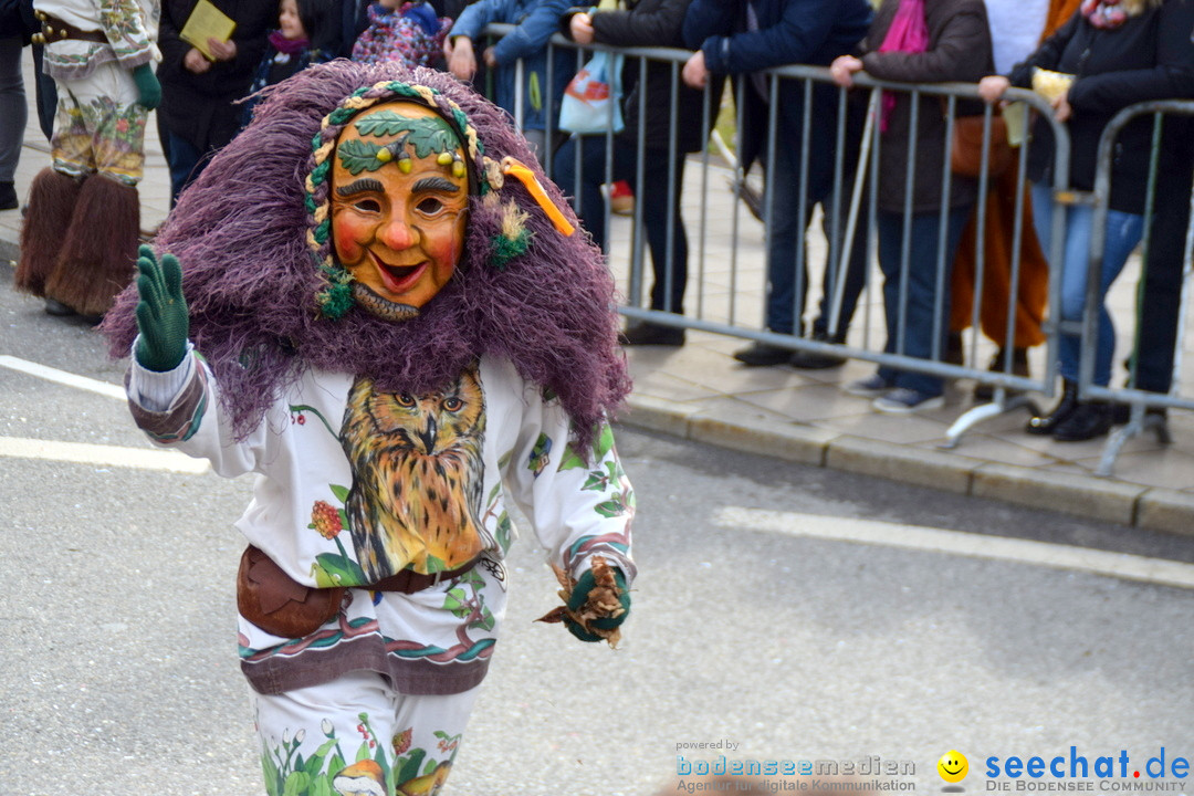 Grosser Narrensprung: Friedrichshafen am Bodensee, 02.03.2019