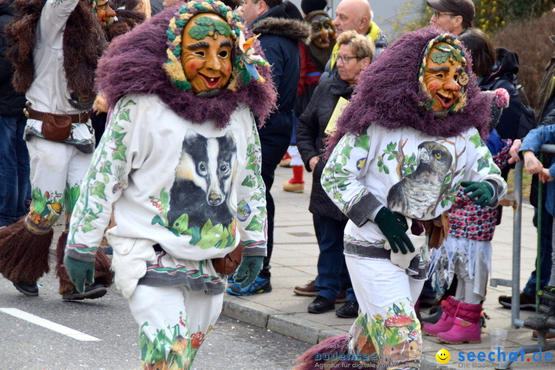 Grosser Narrensprung: Friedrichshafen am Bodensee, 02.03.2019