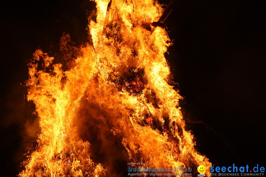 Funkenfeuer 2010: Ursaul bei Stockach am Bodensee, 21.02.2010