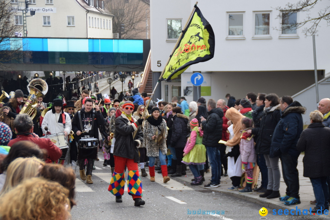 Grosser Narrensprung: Friedrichshafen am Bodensee, 02.03.2019