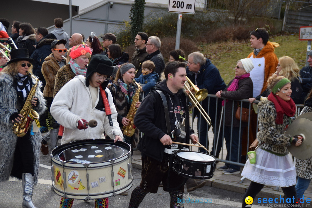 Grosser Narrensprung: Friedrichshafen am Bodensee, 02.03.2019