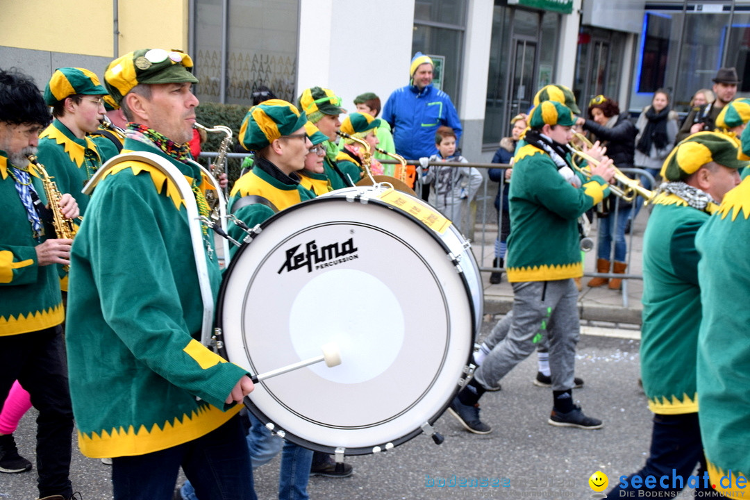 Grosser Narrensprung: Friedrichshafen am Bodensee, 02.03.2019