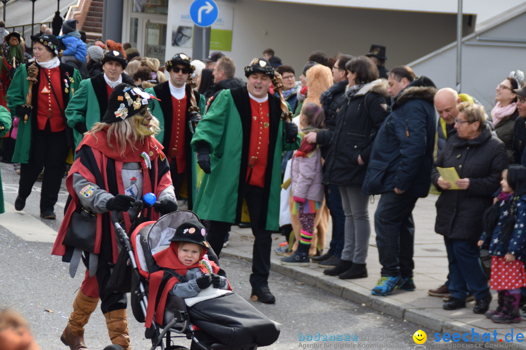 Grosser Narrensprung: Friedrichshafen am Bodensee, 02.03.2019