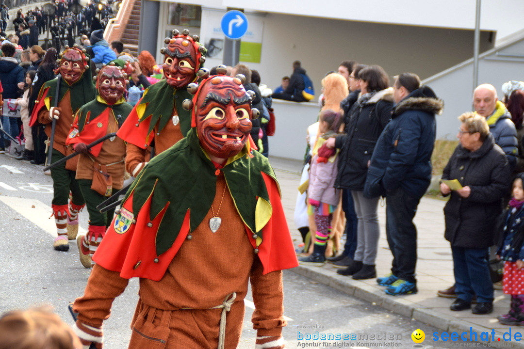 Grosser Narrensprung: Friedrichshafen am Bodensee, 02.03.2019