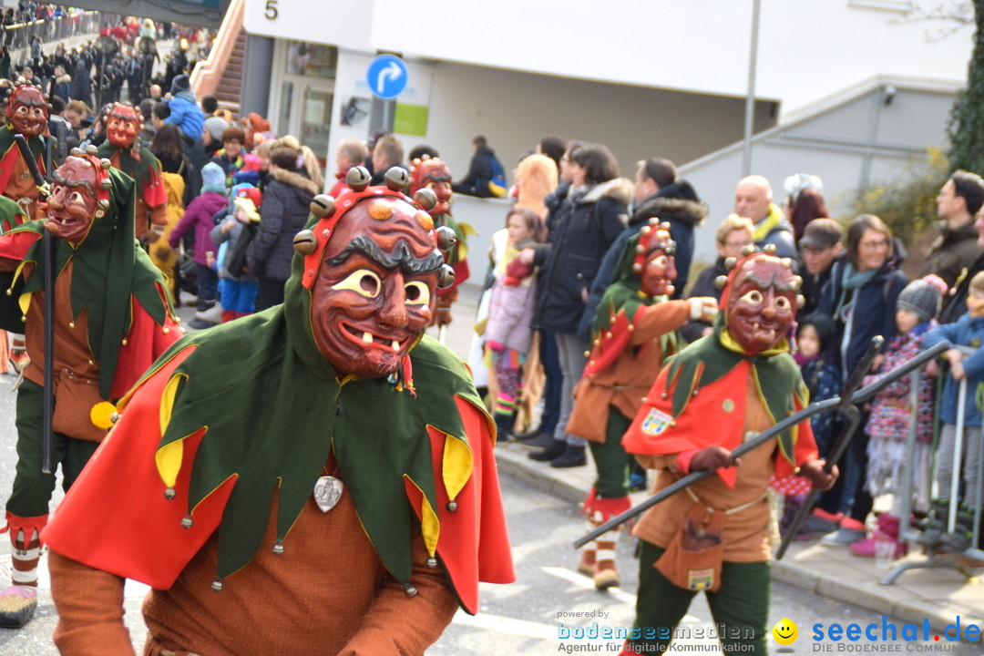 Grosser Narrensprung: Friedrichshafen am Bodensee, 02.03.2019