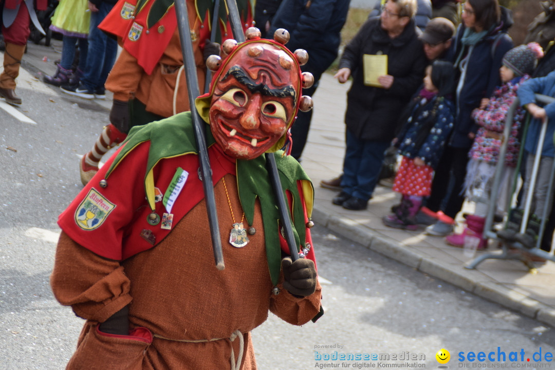 Grosser Narrensprung: Friedrichshafen am Bodensee, 02.03.2019