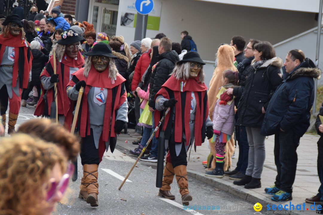 Grosser Narrensprung: Friedrichshafen am Bodensee, 02.03.2019