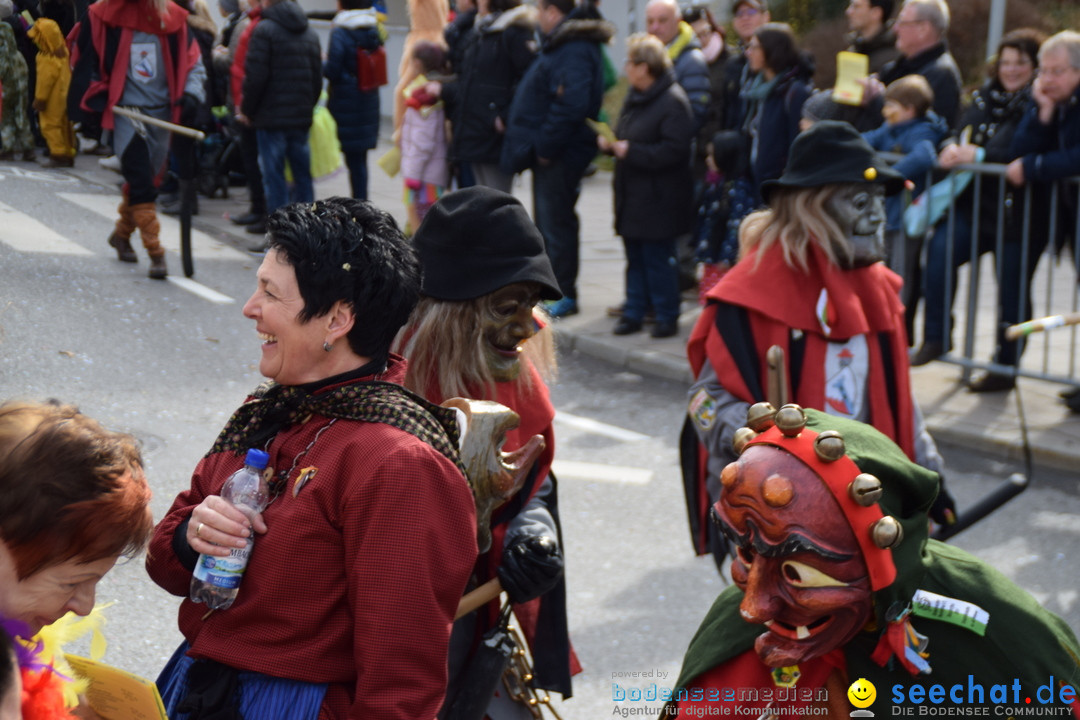 Grosser Narrensprung: Friedrichshafen am Bodensee, 02.03.2019