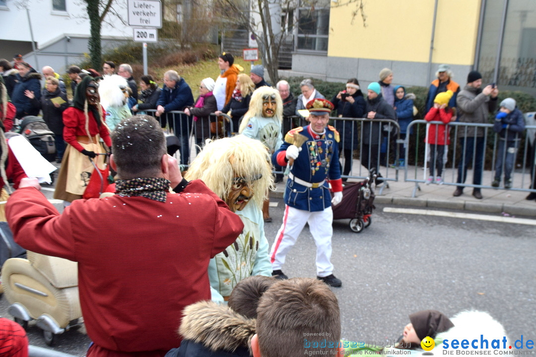 Grosser Narrensprung: Friedrichshafen am Bodensee, 02.03.2019