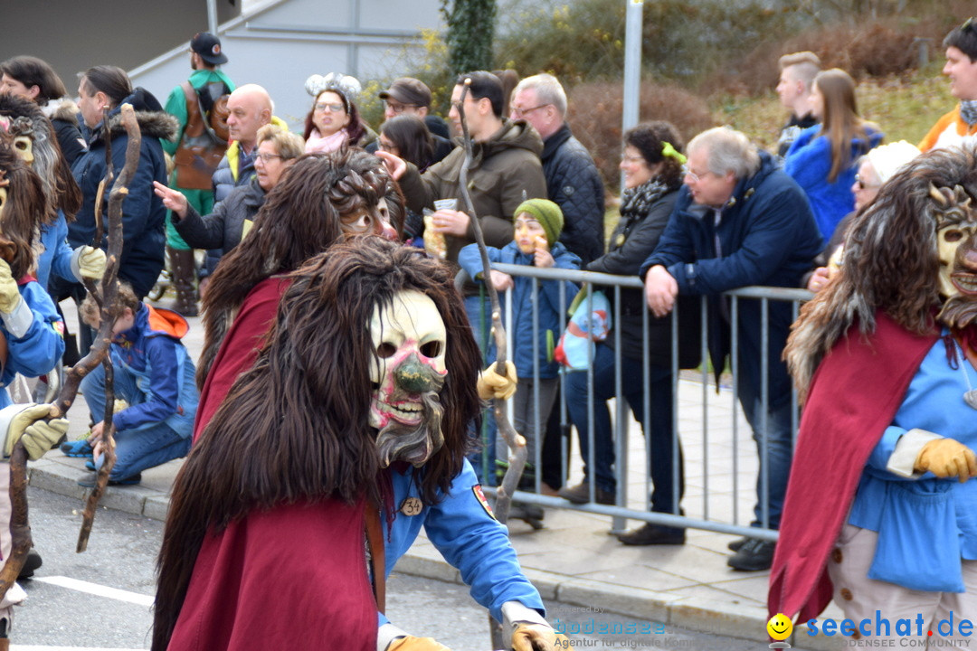 Grosser Narrensprung: Friedrichshafen am Bodensee, 02.03.2019