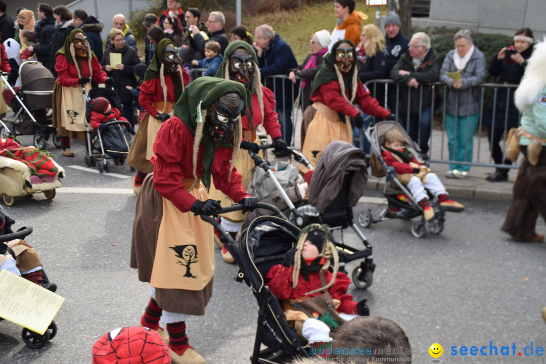 Grosser Narrensprung: Friedrichshafen am Bodensee, 02.03.2019