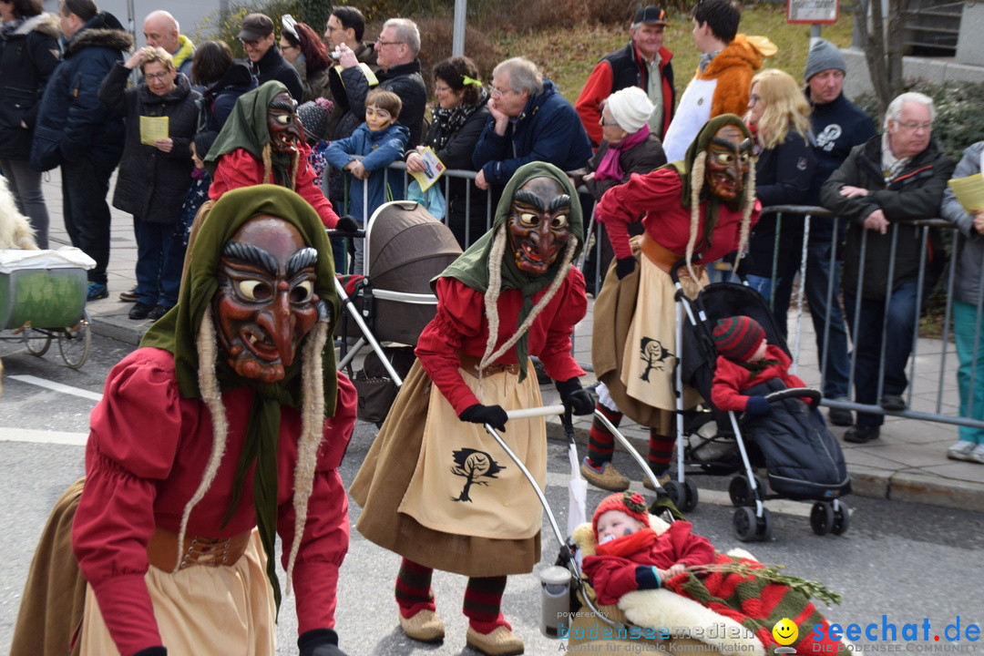 Grosser Narrensprung: Friedrichshafen am Bodensee, 02.03.2019