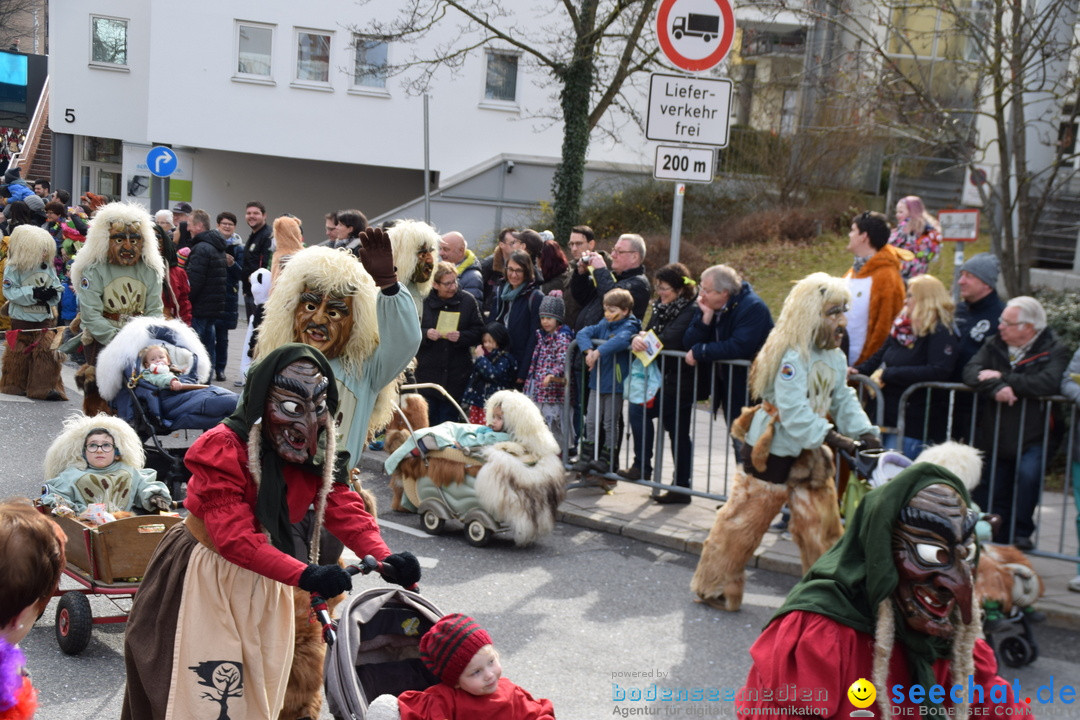 Grosser Narrensprung: Friedrichshafen am Bodensee, 02.03.2019