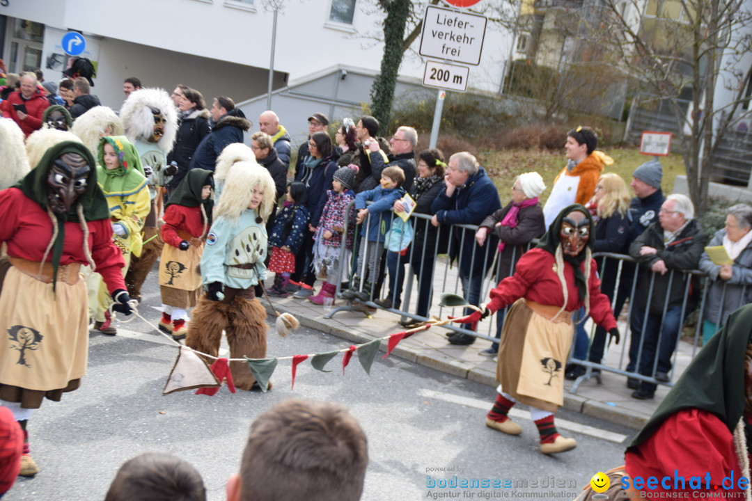 Grosser Narrensprung: Friedrichshafen am Bodensee, 02.03.2019