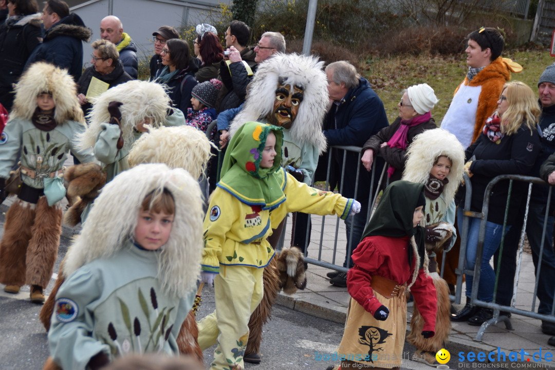 Grosser Narrensprung: Friedrichshafen am Bodensee, 02.03.2019