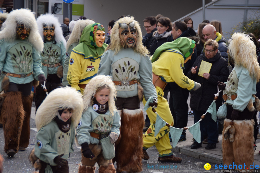 Grosser Narrensprung: Friedrichshafen am Bodensee, 02.03.2019