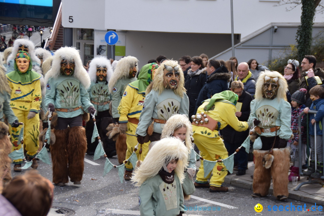 Grosser Narrensprung: Friedrichshafen am Bodensee, 02.03.2019