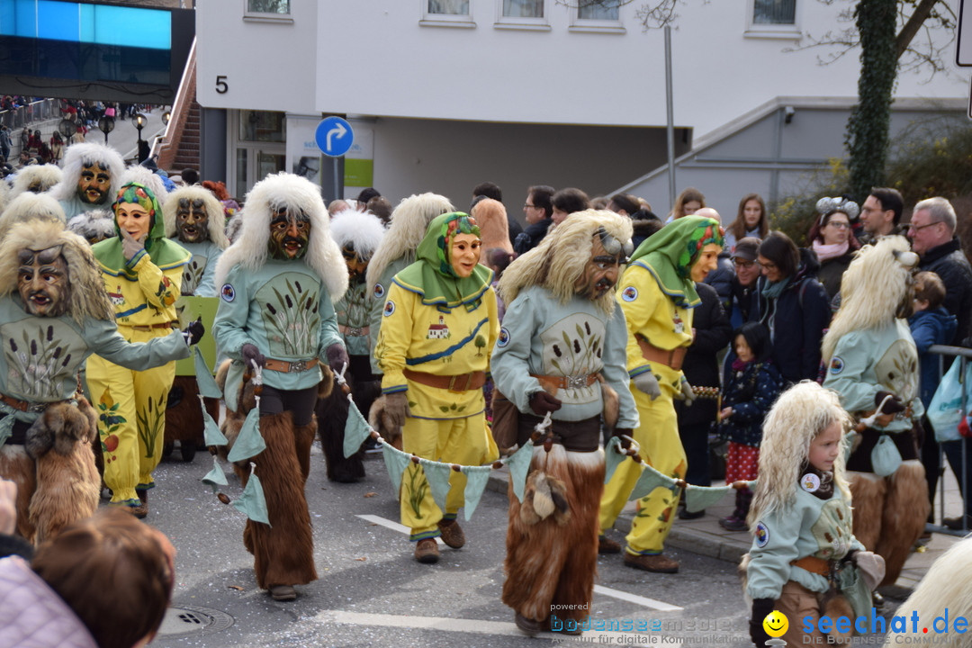 Grosser Narrensprung: Friedrichshafen am Bodensee, 02.03.2019