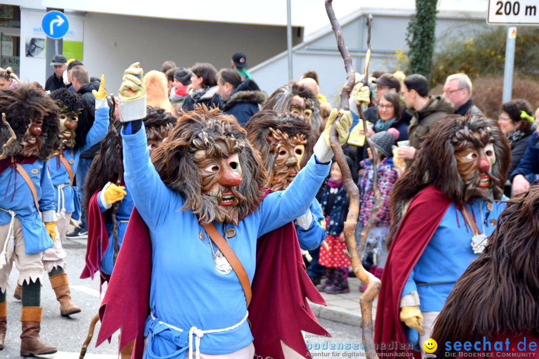 Grosser Narrensprung: Friedrichshafen am Bodensee, 02.03.2019