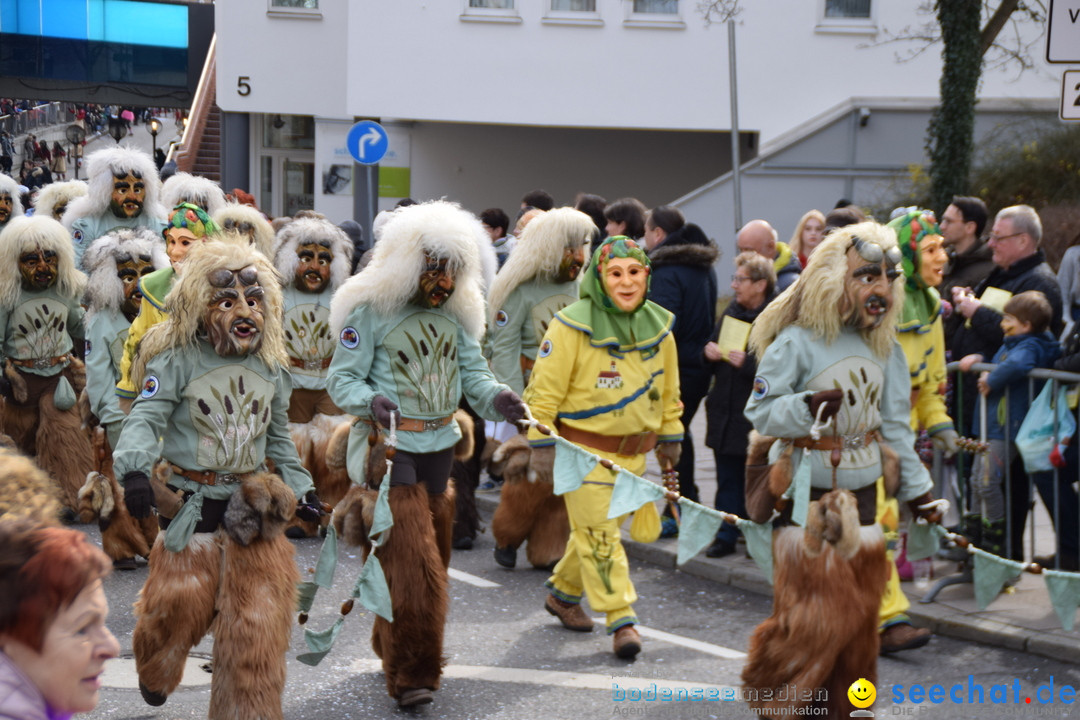 Grosser Narrensprung: Friedrichshafen am Bodensee, 02.03.2019