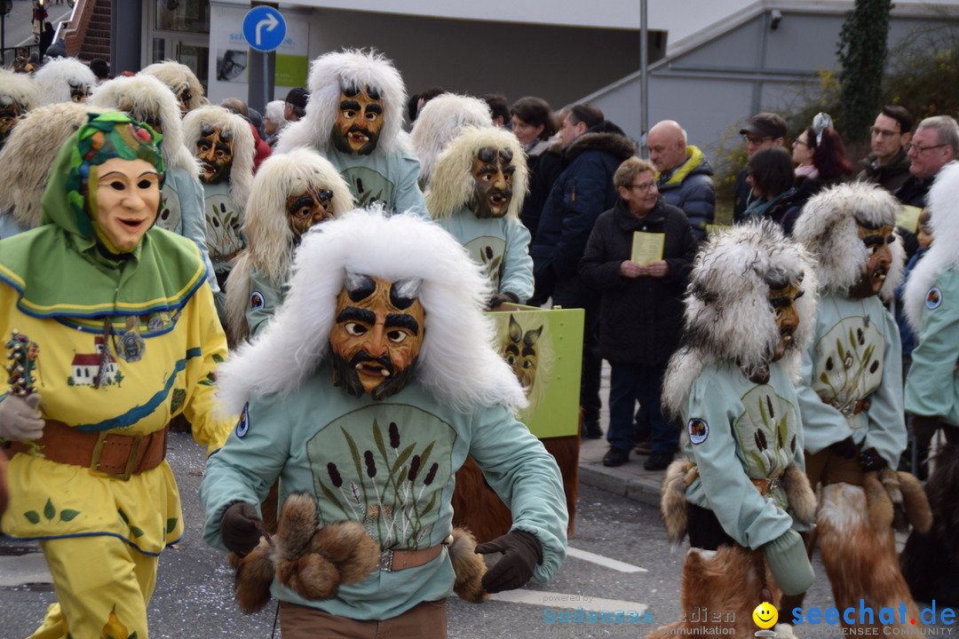 Grosser Narrensprung: Friedrichshafen am Bodensee, 02.03.2019