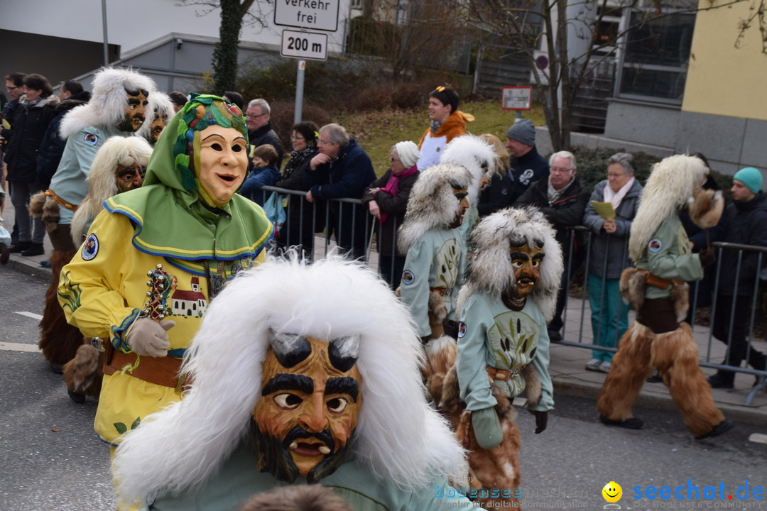 Grosser Narrensprung: Friedrichshafen am Bodensee, 02.03.2019